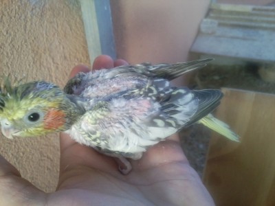 Photo007 (Medium).jpg