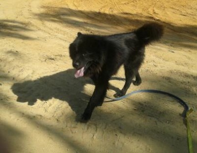 מארליוצ'קו!