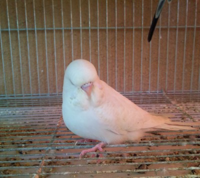 Photo031 (Large).jpg