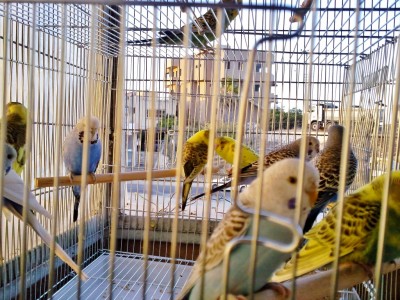 Photo023 (Medium) (2).jpg