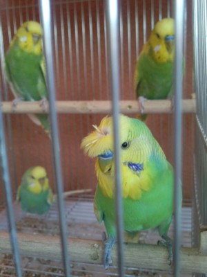 Photo023 (Medium) (2).jpg