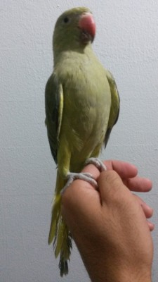 20140927_220654.jpg