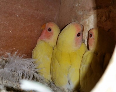 2014-11-14 03.12.31 (Large).jpg