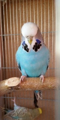 2014-10-14 20.20.13 (Medium).jpg