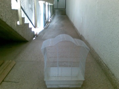 21042008(001).jpg
