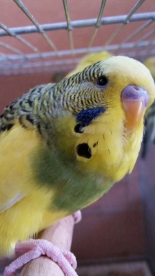 20141223_144448 (Medium).jpg