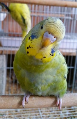 PicsArt_1419350051661 (Medium).jpg