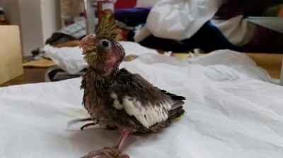 2015-02-24 16.56.25.jpg