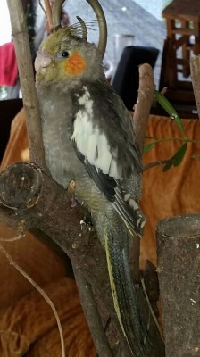 2015-02-24 17.01.43.jpg