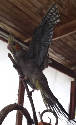 2015-02-24 17.04.11.png