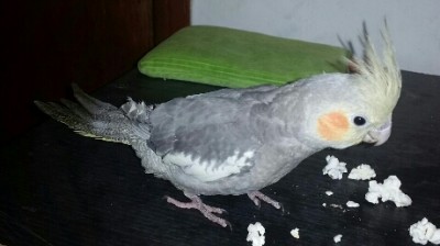 2015-02-24 17.02.43.jpg