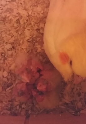 2015-02-24 17.11.30.png