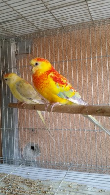 20150402_152347 (Medium).jpg