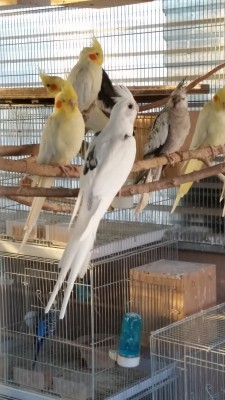 20150404_183113 (Medium).jpg