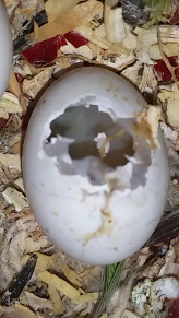 2015-05-25 16.42.55.png