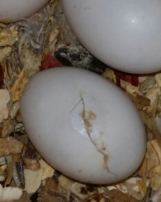 2015-05-25 16.41.40.jpg