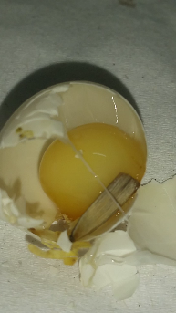 2015-05-25 19.02.47.png