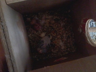 מוקדם יותר הבוקר