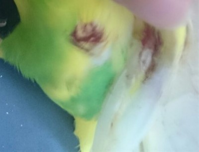 קצת מטושטש..