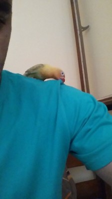 2015-08-08 13.16.32.jpg