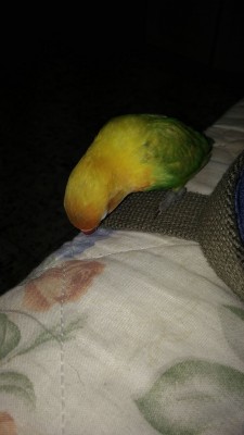 2015-08-15 16.02.32.jpg