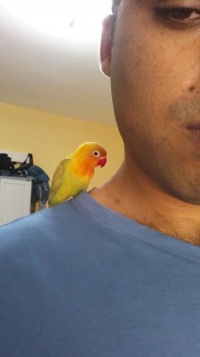 2015-08-15 16.11.19.jpg