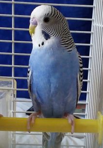 20151120_122643.1.jpg