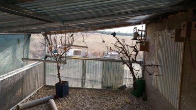 IMG-20150914-WA0007 (1).jpeg