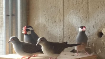 IMG-20150914-WA0011 (1).jpeg