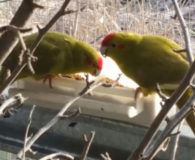 IMG-20150914-WA0016-1 (1).jpg