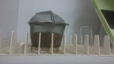 DSC_0010 - עותק.JPG