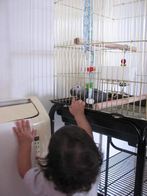 הבן עם קוקו.