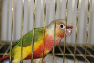 IMG_0185 (800x533).jpg