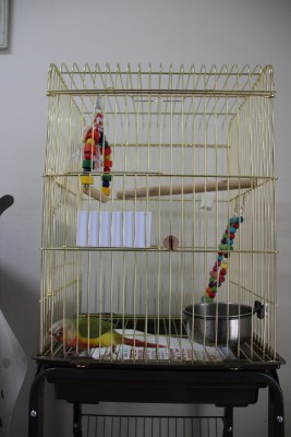 IMG_0183 (533x800).jpg