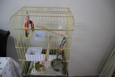 IMG_0184 (800x533).jpg