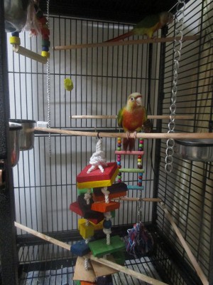 IMG_1374 (600x800).jpg