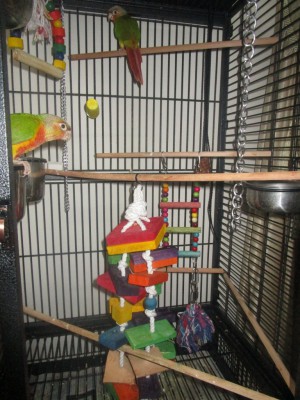 IMG_1372 (768x1024).jpg