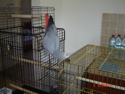 Picture 389.jpg