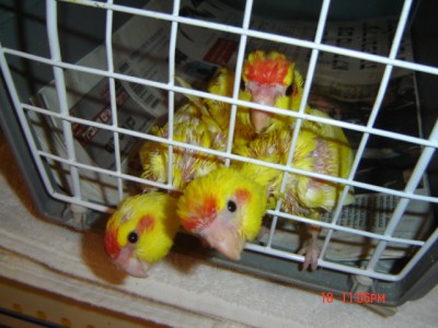 Picture 320.jpg