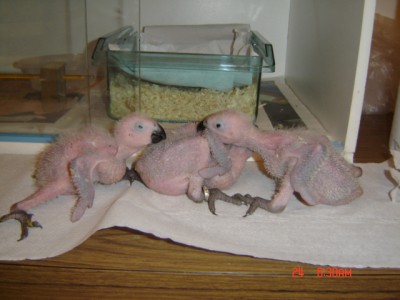 Picture 119.jpg