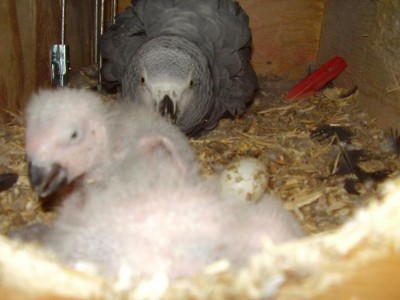 תמונות 062.jpg