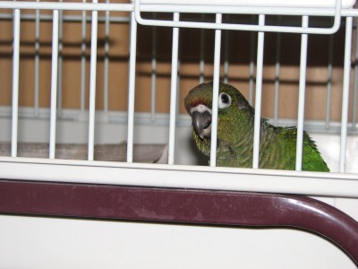 מחכה לארוחה חח