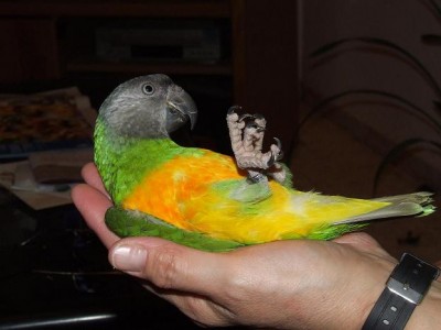 דודו שלי ברגע שלפינוק והנאה.