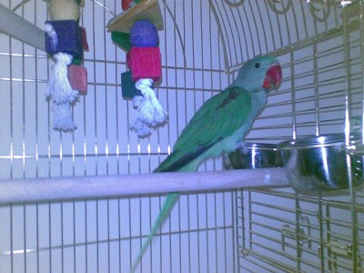 בן 3 חודשים.jpg