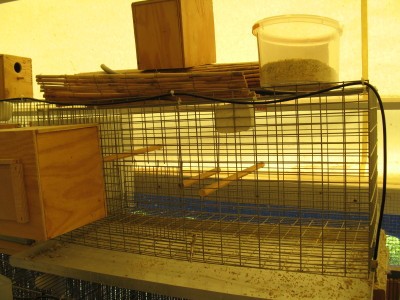 IMG_2700_1.JPG