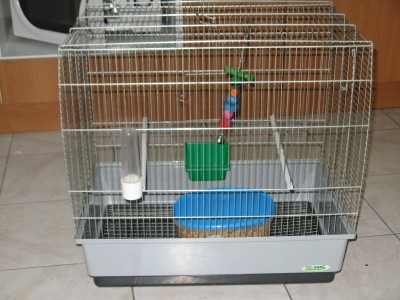 IMG_2720_1.JPG