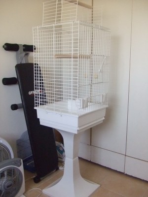cage0071.jpg