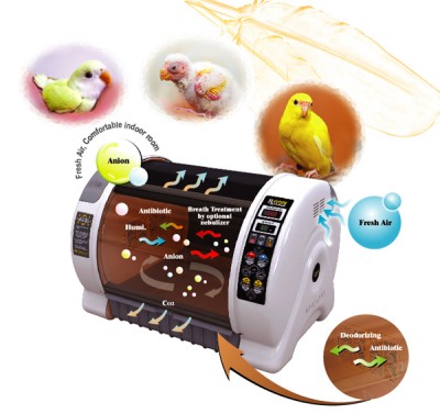 bird4.jpg