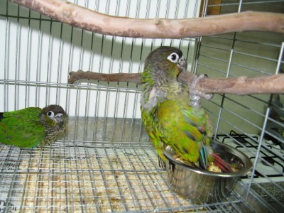 IMG_2959_1.JPG