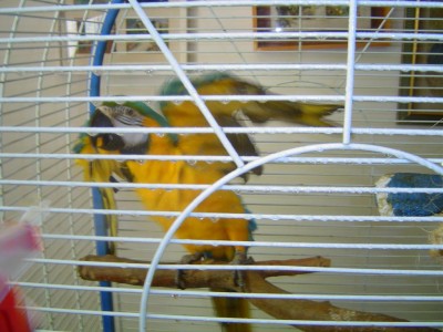 סוף-סוף ניזכרת שגם לי חם?קדימה תני שפריץ